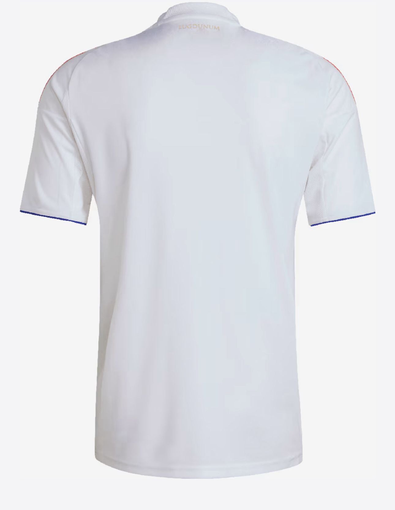 Lione Maglia Third 25/26